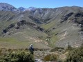 Woolshed Creek Hut