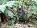 The Fern people