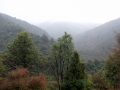 Kelcey's bush valley