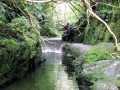 The weir