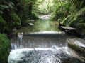 Kelcey's Bush weir