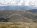 the_track_back
