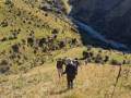 21-Nearly-at-Mount-Orr-Stream