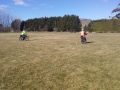 Slalom race