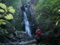 Nimrod Stream Waterfall