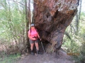 Balancing Rock