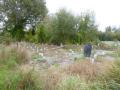 07-Riverside-plantings