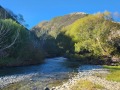 10 Finding start of the Opihi Gorge track