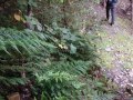 22 Some of the easier sections of trail