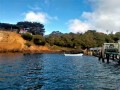 Quarantine Island