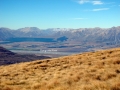 From Dogs Range
