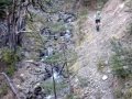 Ashley_River