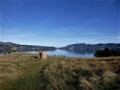 Looking-up-Otago-Harbour