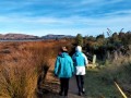 Aramoana Wetlands walk