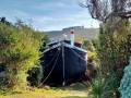 The Aramoana Ark