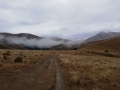 Open Tussock and well formed track