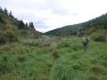 07-Heading-down-the-gully