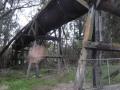 13-Old-aquaduct