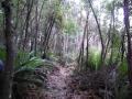 Hunters-Track