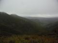 Rosella-Ridge