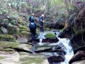 Lunch-spot