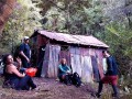 Possum-Hut