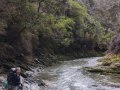 21-River-walking-section