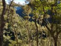 39-Descending-Tabletop-to-Middle-branch