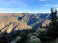 IMG_1728