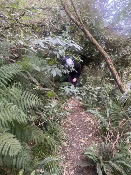 01-Bush-bashing