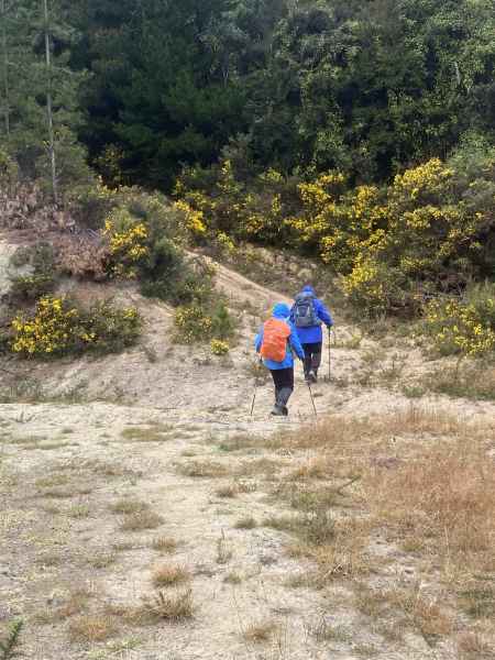 08-Approaching-Daves-Track