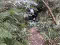 01-Bush-bashing