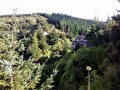 Daves-Track-valley