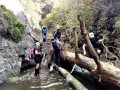 Pigeon-creek-3