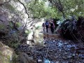 Pigeon-creek