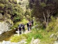 Trotters-creek