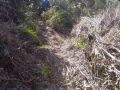 Jane's Cut Track