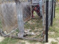 They catch all pests around here