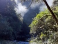 Mist rising from the South Branch
