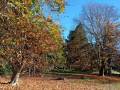 01-Nottingly-Park