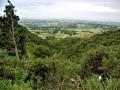 Waimate-beyond